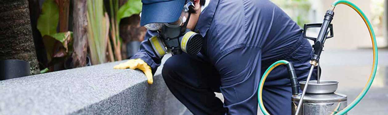 disinfestazione
