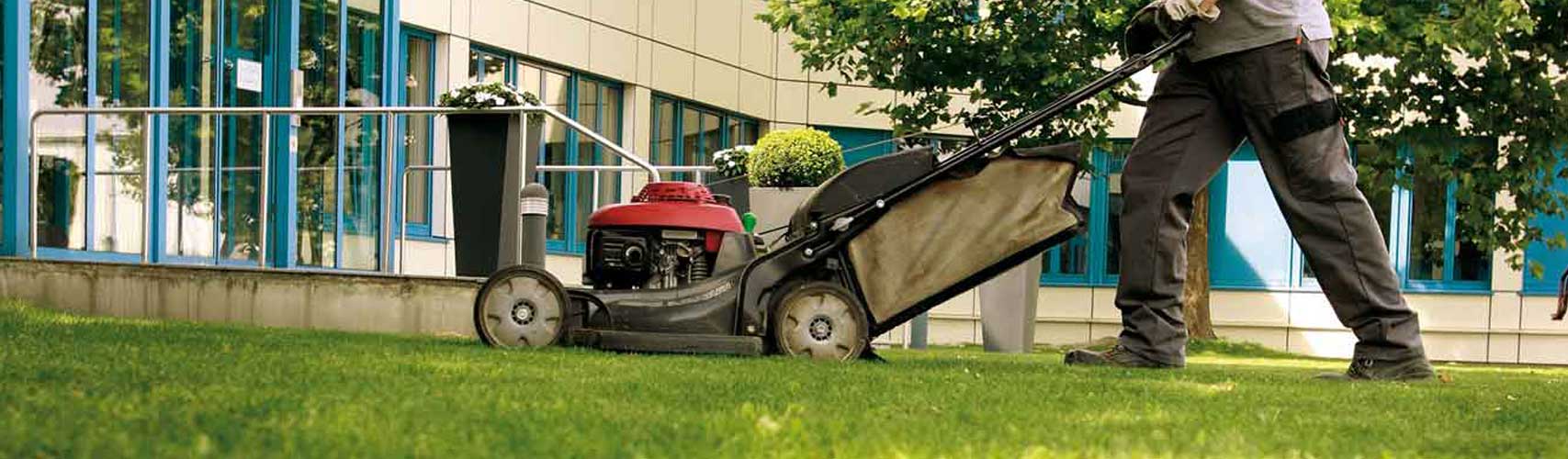 giardinaggio e manutenzione aree verdi